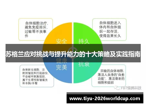 苏格兰应对挑战与提升能力的十大策略及实践指南